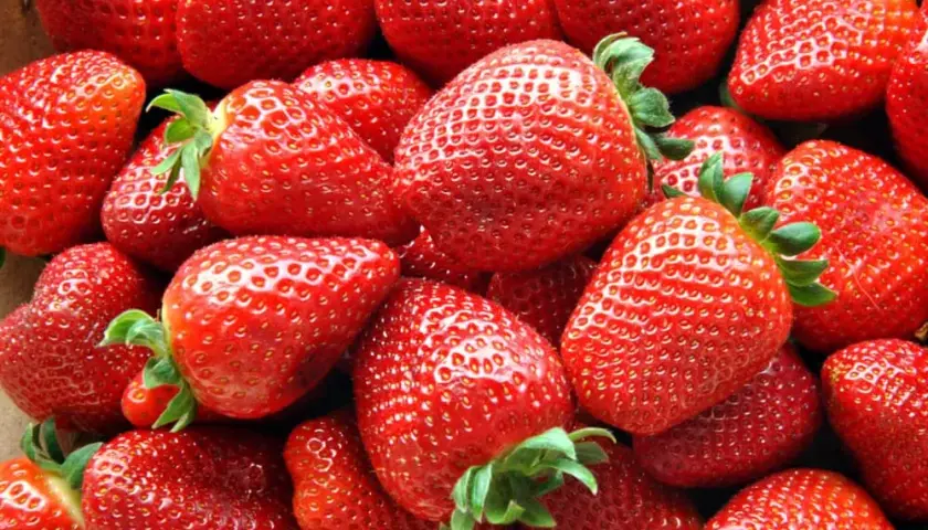 Ile kalorii mają truskawki? Wartość odżywcza i wpływ na dietę w 100 g