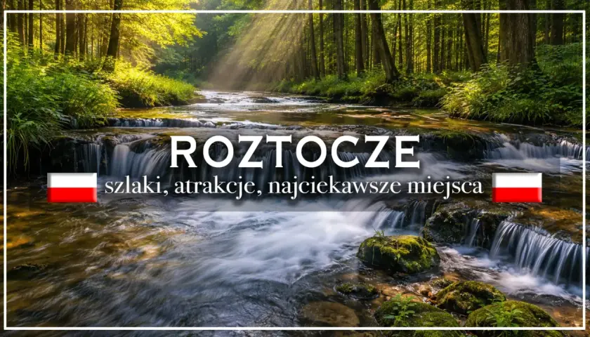 Roztocze lubelskie: malowniczy potok w lesie, wodospady, szlaki i najciekawsze miejsca.