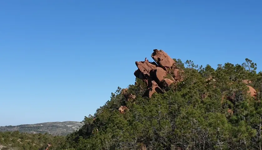 Persona sentada en la cima de una roca rojiza en el **Desert de les Palmes**, rodeada de pinos y bajo un cielo azul intenso.