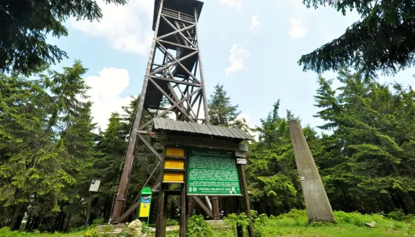 Drewniana wieża widokowa na radziejowa szczyt wśród zielonych drzew. Obok tablica informacyjna i betonowy obelisk.