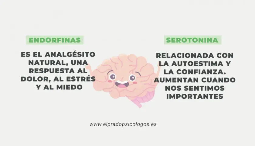 Endorfinas: el analgésico natural, respuesta al dolor, estrés y miedo. Serotonina: ligada a la autoestima y confianza.