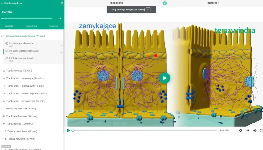 Animacja 3D przedstawiająca budowę tkanki nabłonkowej z widocznymi jądrami komórkowymi i włóknami.