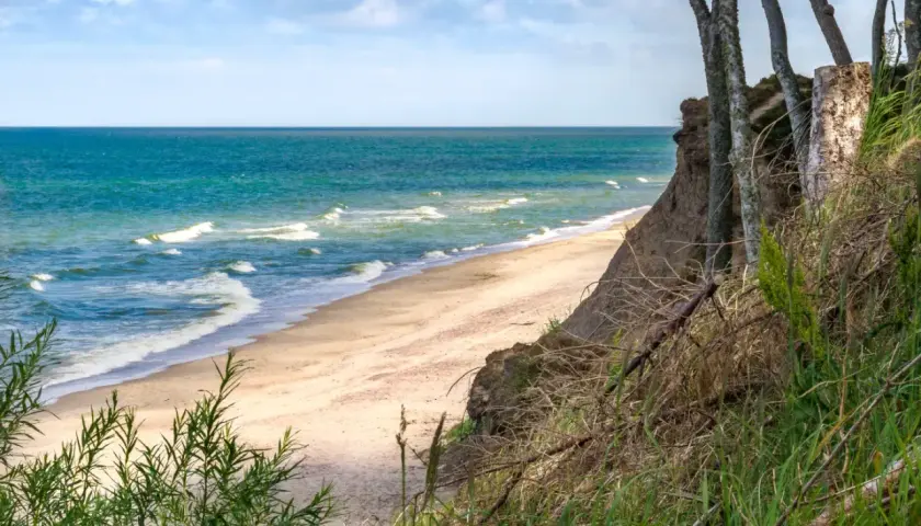Plaża nad Bałtykiem z klifem porośniętym trawami i drzewami.