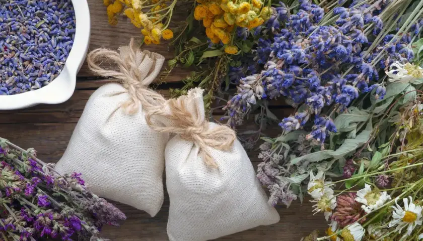 Suszone zioła, w tym lawenda, i woreczki z naturalnymi zapachami. Czy wiesz, co to linalool? To składnik wielu ziół, nadający im przyjemny aromat.