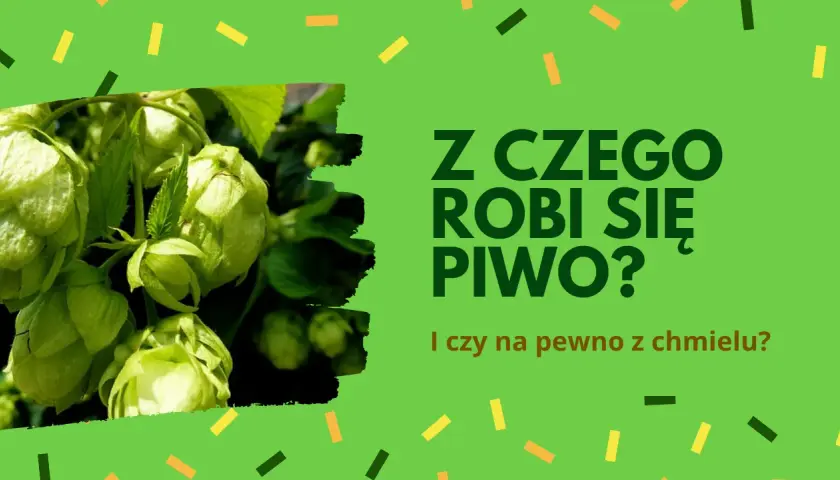 Z czego jest piwo? Poznaj składniki, które kształtują smak piwa