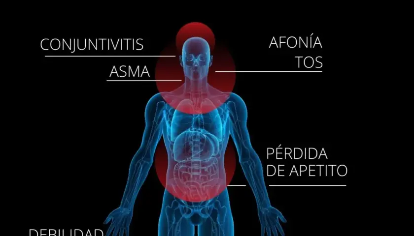 Ilustración de un cuerpo humano con zonas rojas indicando síntomas como conjuntivitis, asma, afonía, tos y pérdida de apetito, posiblemente por polen flor.
