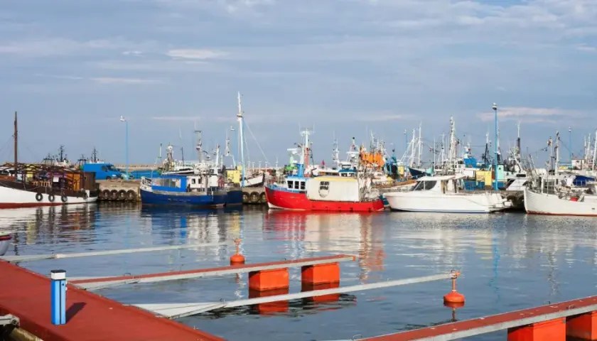 Władysławowo port pełen kutrów rybackich i białych jachtów, gotowych do wypłynięcia na spokojne morze.