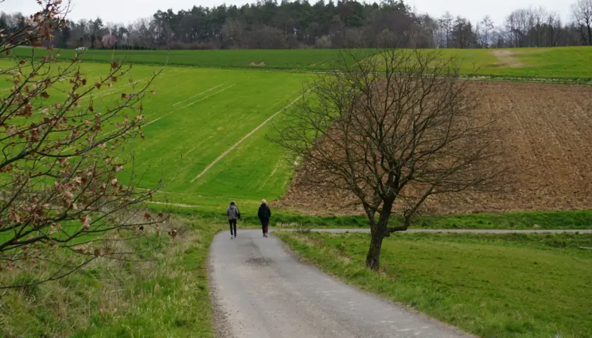 Dwie osoby idące ścieżką przez zielone pola i las w tle.