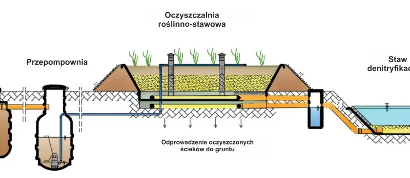 Oczyszczalnia trzcinowa schemat: kompletna budowa systemu biologicznego