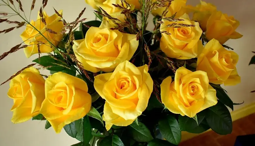 Un ramo de rosas amarillas, símbolo de amistad y alegría. El significado de la rosa amarilla se refleja en su vibrante color.