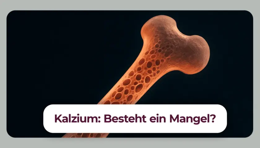 Vergrößerte Darstellung eines porösen Knochens, der auf einen Kalziummangel hindeutet. Ein Kalziummangel kann zu neurologischen Symptomen führen.