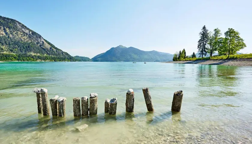 Holzpfähle ragen aus dem klaren Wasser des Walchensees in Bayern. Berge und Bäume säumen das Ufer unter blauem Himmel.