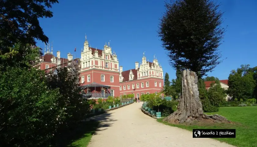 Piękny pałac w parku mużakowskim, idealne miejsce na zwiedzanie. Wspaniała architektura i zieleń.