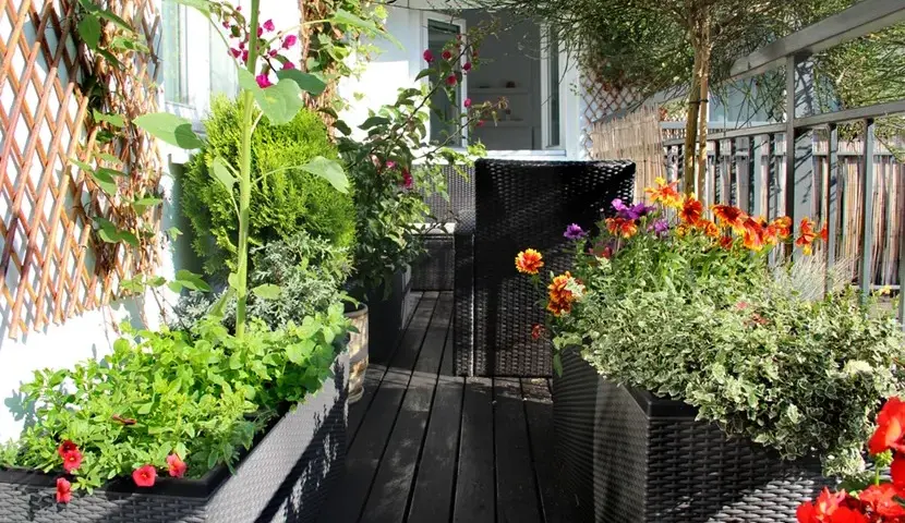 Jak osłonić balkon w bloku? Poradnik: prywatność, słońce, wiatr