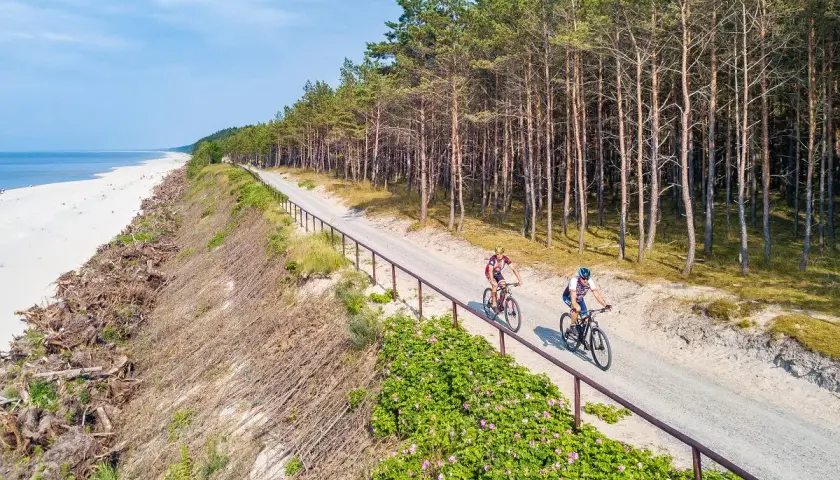Dwóch rowerzystów przemierza malownicze trasy rowerowe Trójmiasta wzdłuż piaszczystej plaży i sosnowego lasu.
