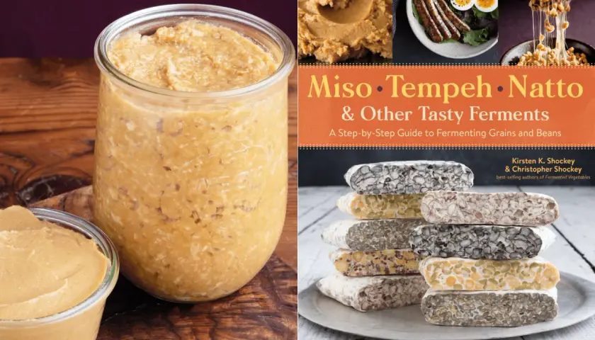 A jar of homemade miso paste next to a cookbook titled "Miso, Tempeh, Natto & Other Tasty Ferments," showcasing a variety of fermented foods.