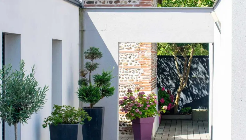 Aménagement terrasse devant maison : olivier, conifères et hortensias en pots, créant un espace extérieur moderne et accueillant.