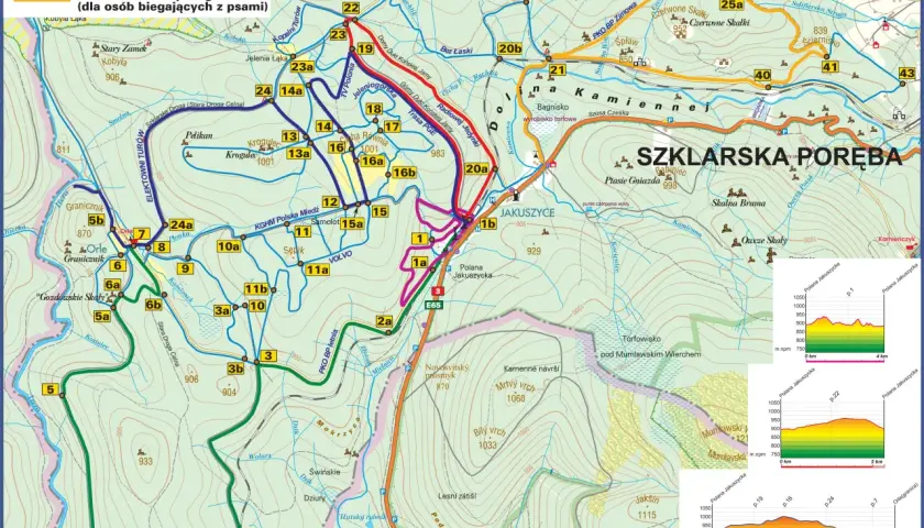 Gdzie na narty biegowe? Najlepsze trasy i miejsca w Polsce i za granicą