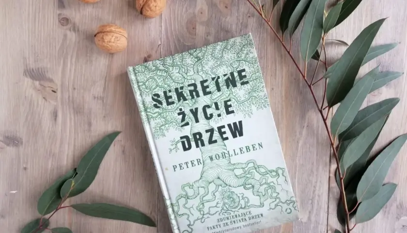 Książka "Sekretne życie drzew" na drewnianym tle, otoczona orzechami i gałązkami eukaliptusa.