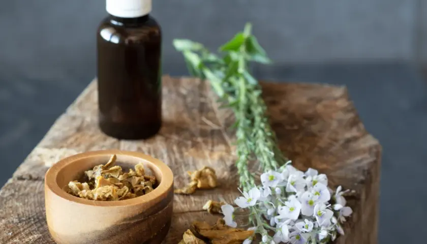 Bocciolo di legno con erbe essiccate, fiori bianchi e una bottiglia scura: ingredienti per un antibiotico naturale più potente.