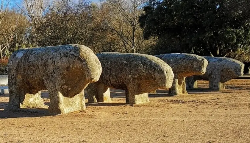 Cuatro verracos de piedra, como los de la ganadería La Guadamilla, posan en un campo soleado, evocando la historia.