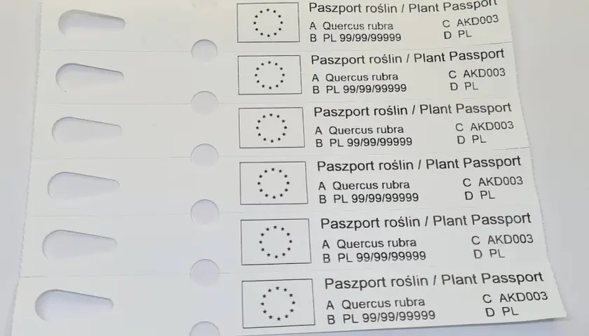 Paszport roślin / Plant Passport dla Quercus rubra. Informacje o tym, jak podlewać roślinę, są kluczowe dla jej zdrowia.