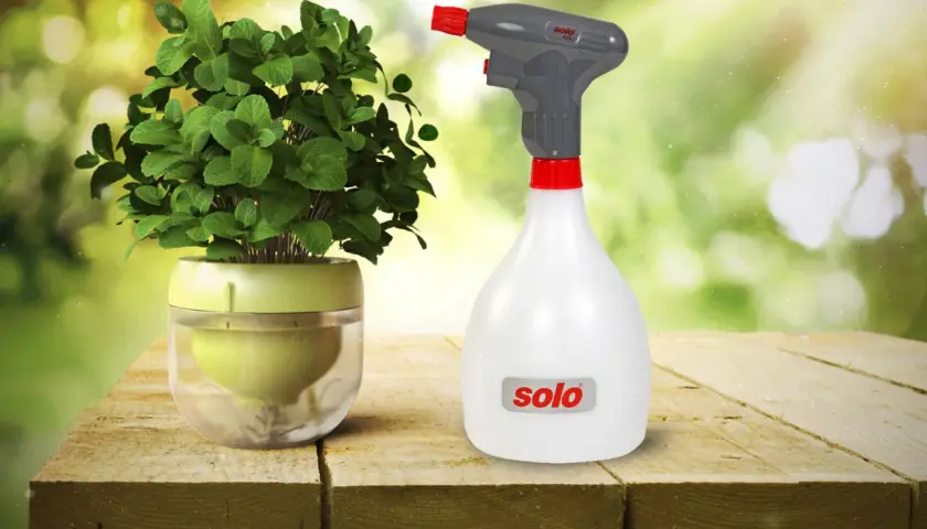 Eine grüne Pflanze in einem Glasgefäß neben einer weißen SOLO Spritze mit rotem Sprühkopf auf einem Holztisch.