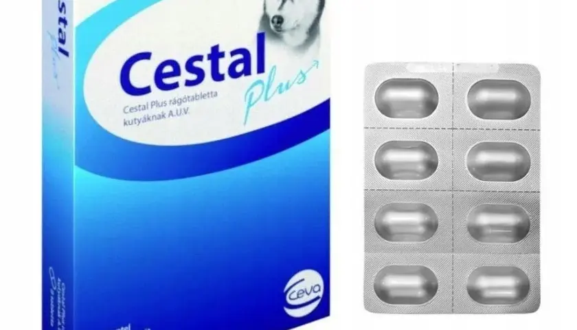 Jak działa tabletka na odrobaczanie psa i co musisz wiedzieć?