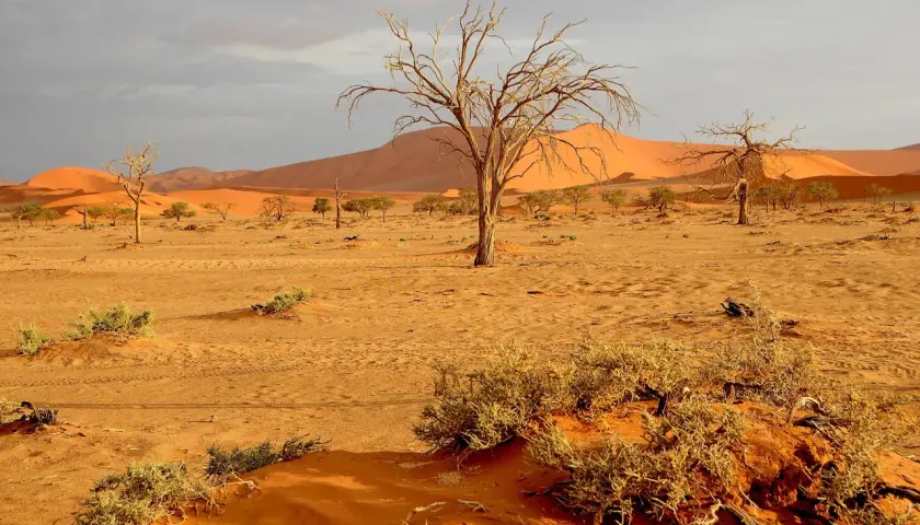 Namibia czy jest bezpiecznie? Odkryj zagrożenia i porady dla turystów