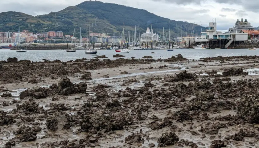Barro y rocas expuestas en la costa, con barcos y un crucero en el mar, bajo un cielo nublado. Las mareas vivas revelan el lecho marino.