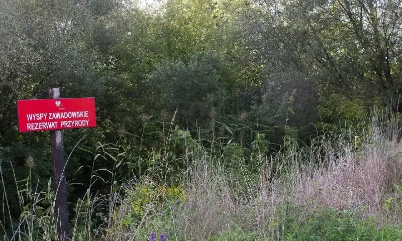 Rezerwat Przyrody Wyspy Zawadowskie – co warto wiedzieć przed zwiedzaniem?