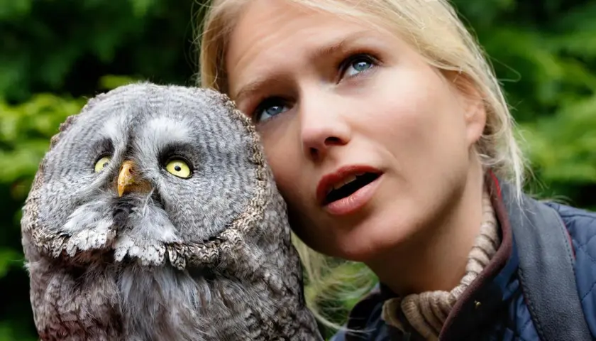 Ein junger Bussard mit gelben Augen blickt neugierig, während eine Frau mit offenem Mund daneben steht.
