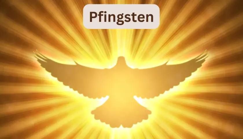 Ein leuchtender Taubensilhouette vor strahlendem Licht. Der Text "Pfingsten" darüber erinnert an den Feiertag.