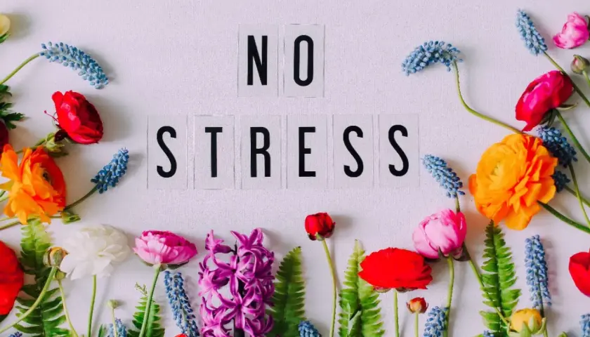 Kwiaty wokół napisu "NO STRESS" symbolizują uczucia wyższe, spokój i harmonię.
