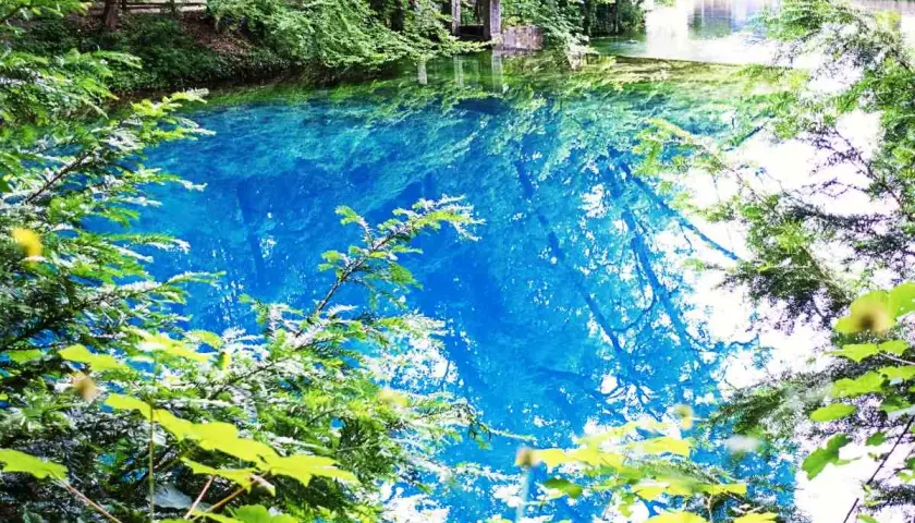 Der Blautopf in Blaubeuren, ein Naturwunder mit tiefblauem Wasser, umgeben von üppigem Grün und spiegelnden Baumkronen.