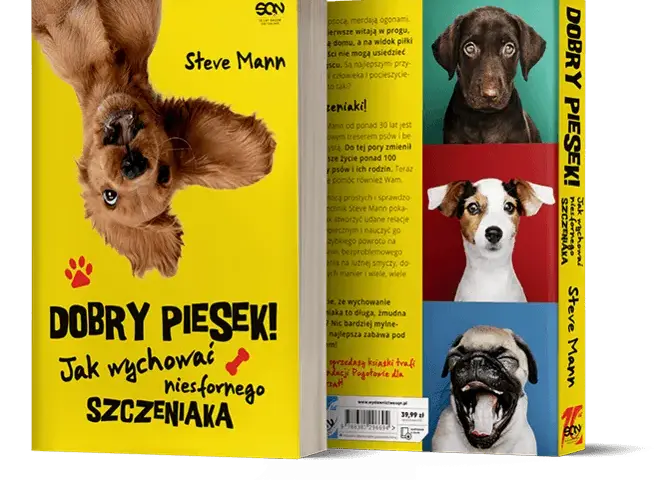 Jak wychować niesfornego szczeniaka, aby był dobrym pieskiem w każdym domu