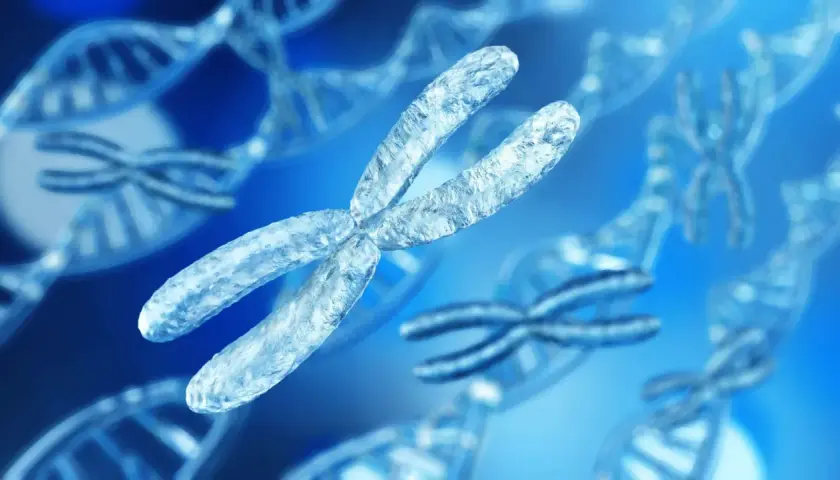Chromosomy, w tym X, w tle z podwójną helisą DNA. Wizualizacja przedstawia zespół Klinefeltera wygląd.