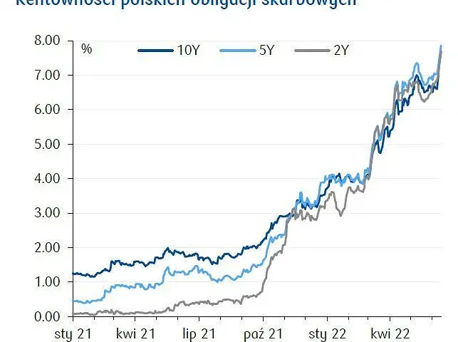 Rentowność 5-letnich obligacji: Ile zarobisz w 2025?