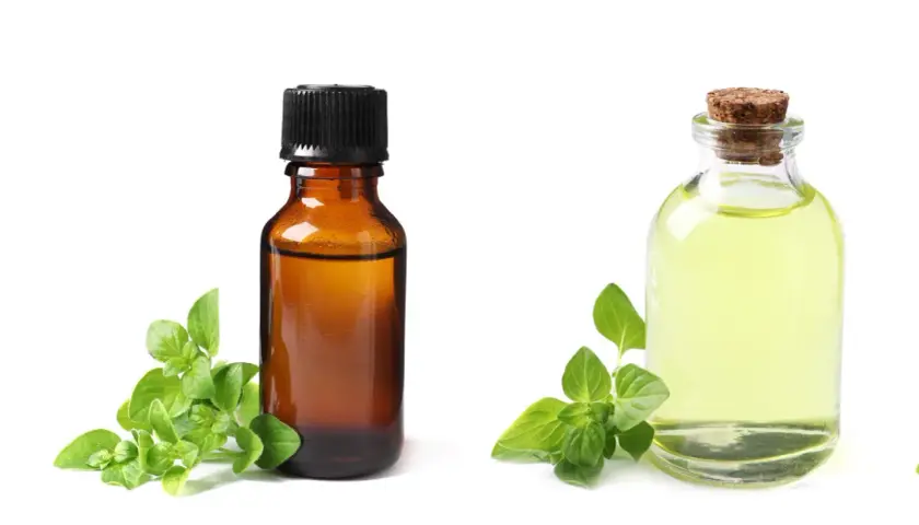 Due boccette di olio essenziale, una ambrata e una trasparente, con rametti di origano. L'olio di origano è noto per le sue proprietà contro i parassiti.