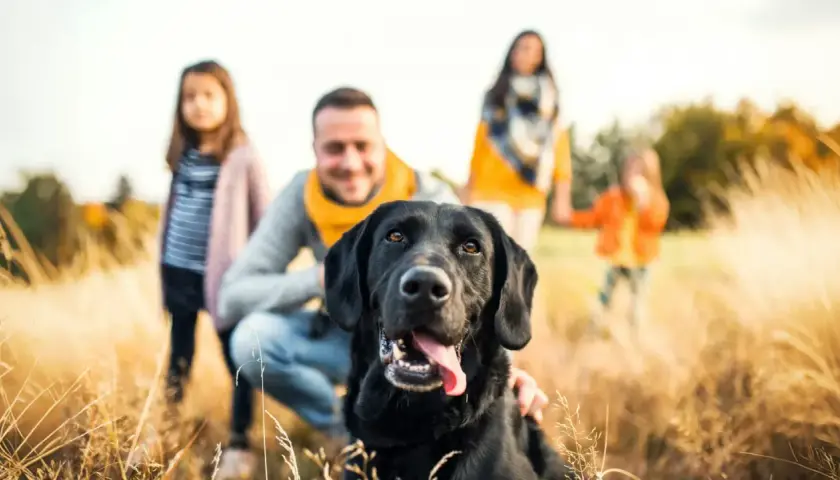 Familia feliz con su perro negro en un campo de hierba alta. Un perro perfecto para niños, juguetón y leal.