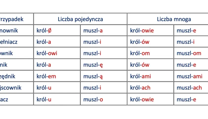 Tabela ukazuje deklinację rzeczowników "król" i "muszla" w liczbie pojedynczej i mnogiej, prezentując odmianę przez przypadki.