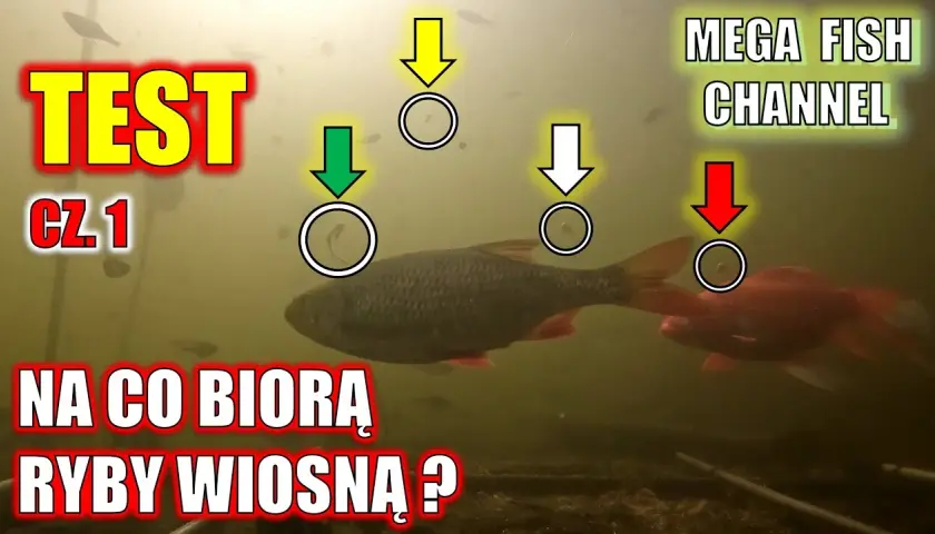 Na co łowić ryby? Sekrety przynęt i zanęt Damiana Baranowskiego
