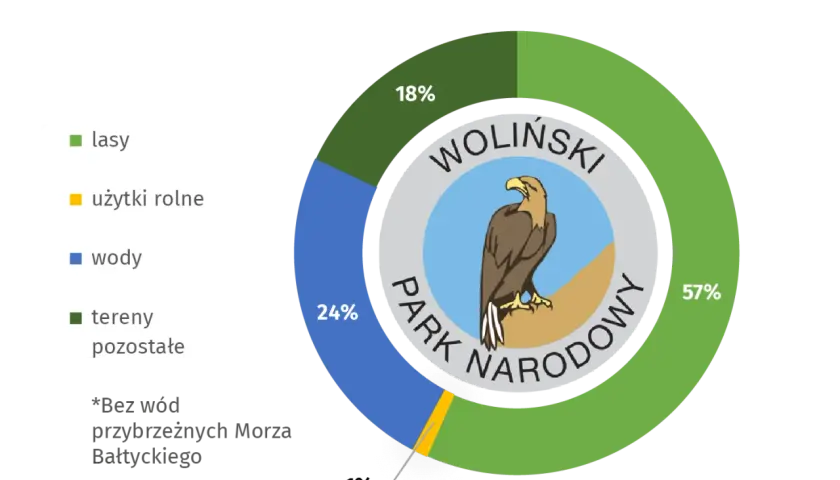 Co jest symbolem Wolińskiego Parku Narodowego? Poznaj orła bielika