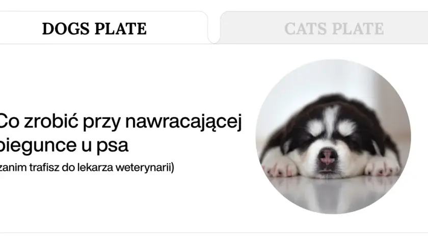 Słodki szczeniak śpi, podczas gdy tekst informuje o tym, co zrobić przy nawracającej wodnistej biegunce u psa.
