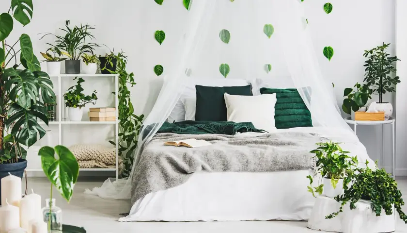 Ein Schlafzimmer im Stil "urban jungle ideen" mit vielen Pflanzen, einem Himmelbett und grünen Akzenten.