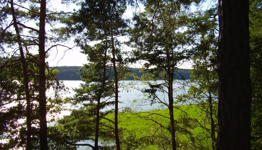 Jezioro Kośno: piękne miejsce na wypoczynek i wędkowanie w naturze