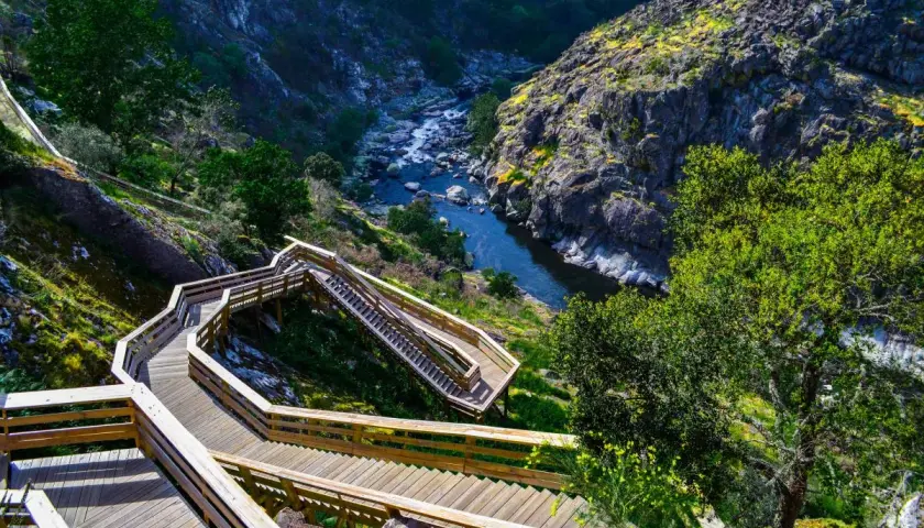 Pasarela de madera serpentea por un barranco verde hasta el río Paiva. El puente Arouca ofrece vistas espectaculares.