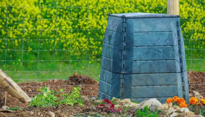 Ein dunkler Thermokomposter steht im Garten, bereit zum Leeren. Im Hintergrund blüht Raps.
