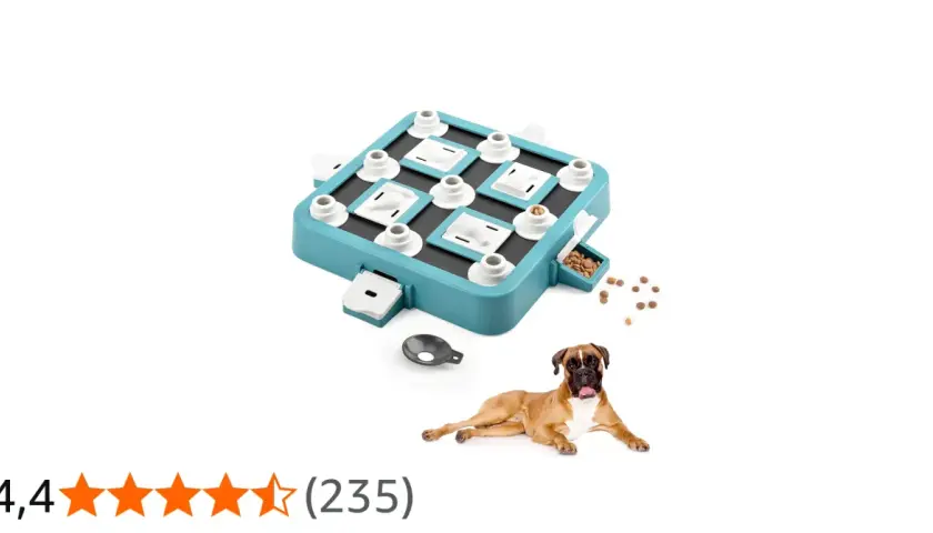 Un perro boxer mira un tablero de juegos mentales para perros con premios.