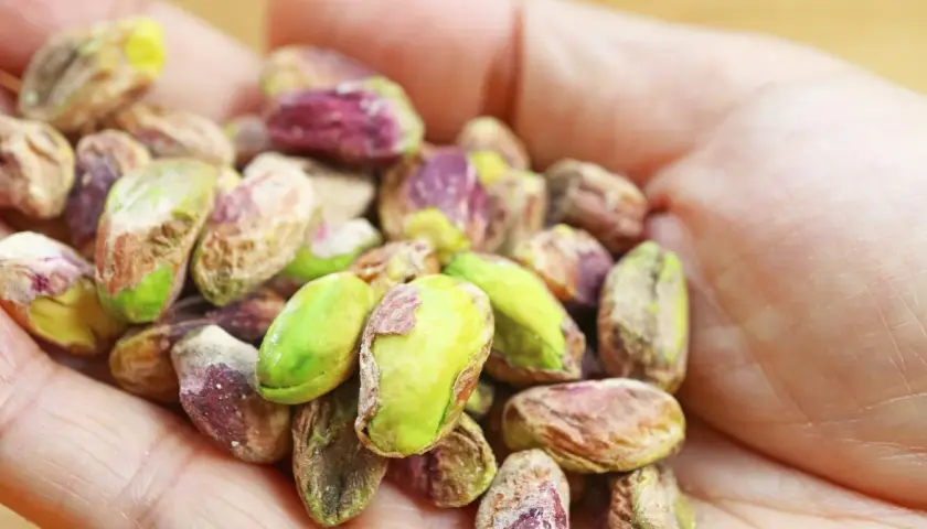 Garść pistacji w dłoni. Czy pistacje są kaloryczne? Tak, ale warto je jeść!